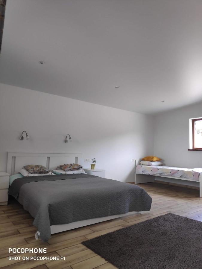 Domo Vila Druskininkai Extérieur photo